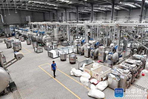 中央媒體看甘肅 定西青年福州工廠脫貧追夢記