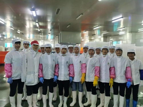 五一巾幗有擔當,彰顯 她 力量