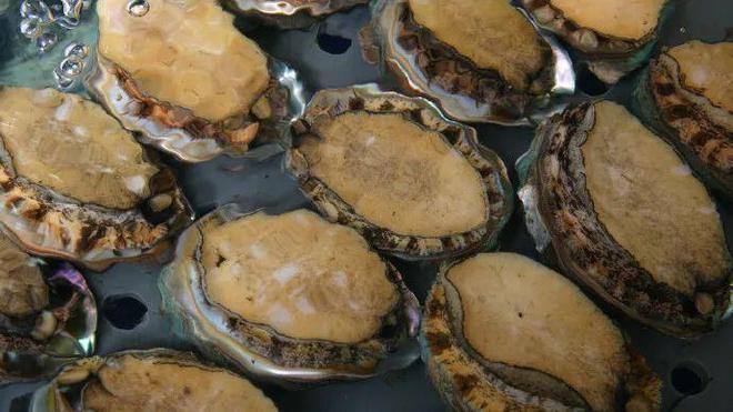 【品牌展播】中國(guó)地理標(biāo)志農(nóng)產(chǎn)品品牌展播(福建福州篇-下)